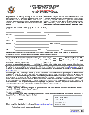 US District Court E-Filing Registration Form