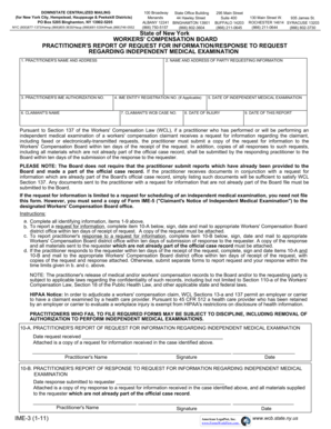 New York Practitioner's Report of Request for Information