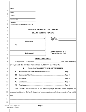 Appellate Brief Template