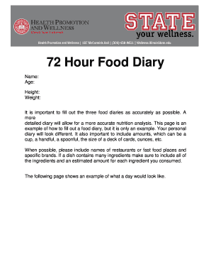72 Hour Food Diary Template