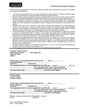 Tampa Electric Residential Guarantor Agreement