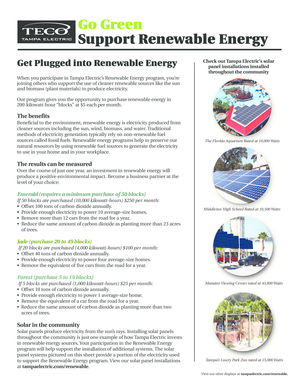 Tampa Electric Renewable Energy Program Application