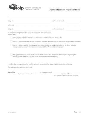 Authorization of Representative