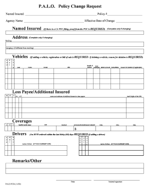 PALO Policy Change Request