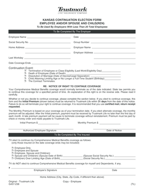 Kansas Continuation Election Form