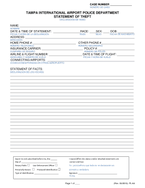 Tampa International Airport Police Theft Statement