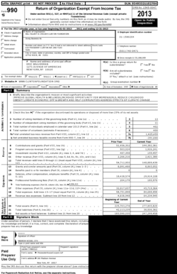 Form 990 2013