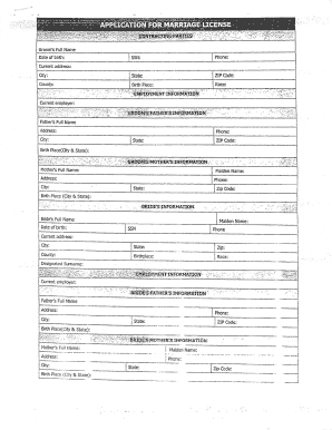 Georgia Marriage License Application