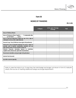 Means of Financing Form XII