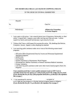 Affidavit for Proceeding In Forma Pauperis