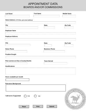 Appointment Application Form