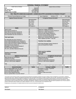 Personal Financial Statement Form