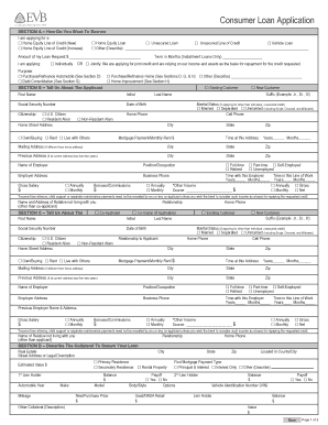 Consumer Loan Application Form