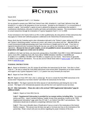 2009 Final Federal Form 1065 Schedule K-1