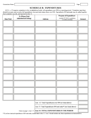 Massachusetts Campaign Expenditure Report