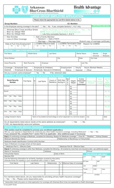 Large Group Employee Application