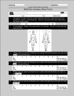Brief Pain Inventory Short Form