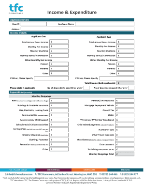 Income and Expenditure Form