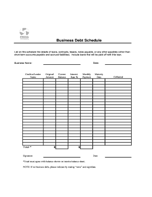 Business Debt Schedule Form