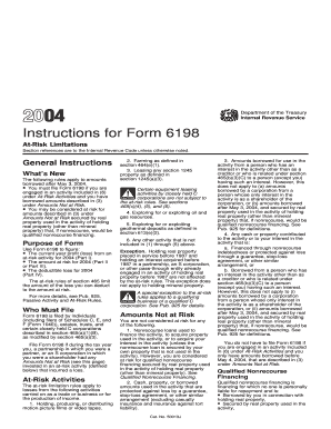 Instructions for Form 6198