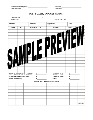 Petty Cash Expense Report