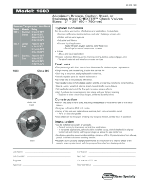 CHEXTER Check Valve Installation Form