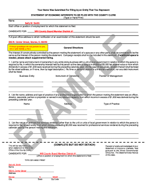 Illinois Statement of Economic Interests