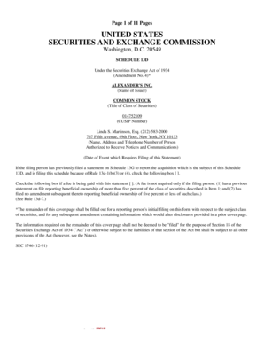 Schedule 13D Amendment Form