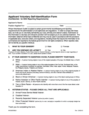 Applicant Voluntary Self-Identification Form