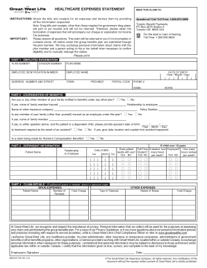 Healthcare Expense Statement