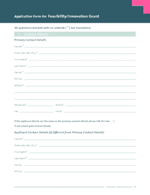 Feasibility/Innovation Grant Application Form