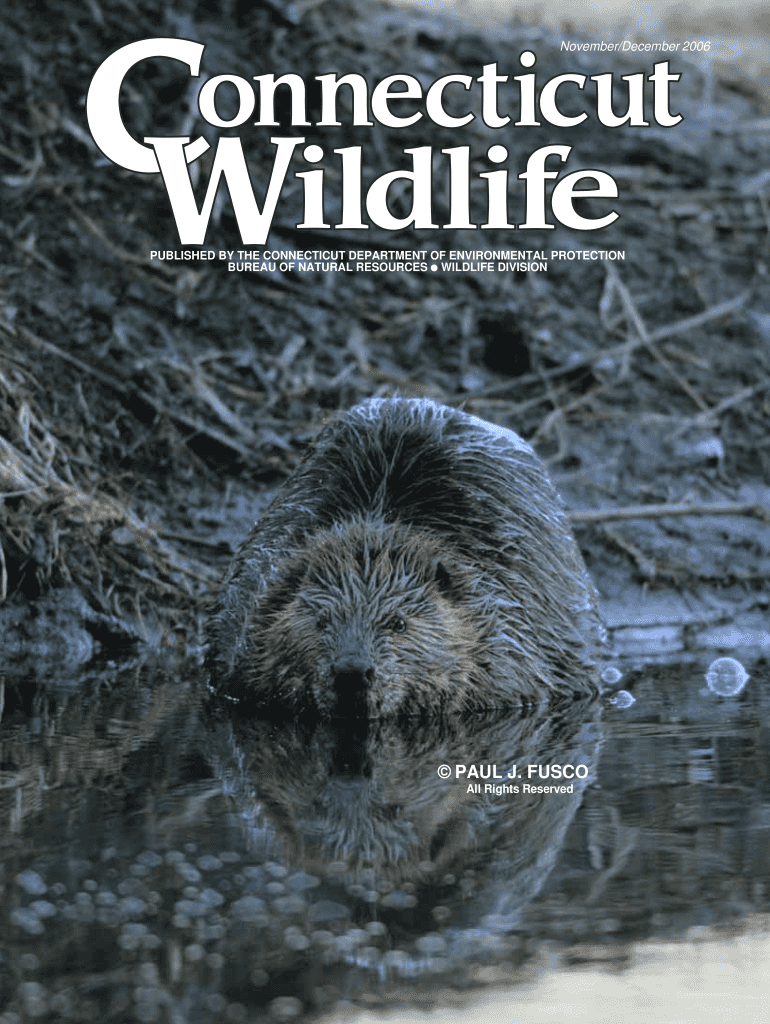 Connecticut Wildlife Nov Dec 2006 Wildlife in Connecticut Preview on Page 1