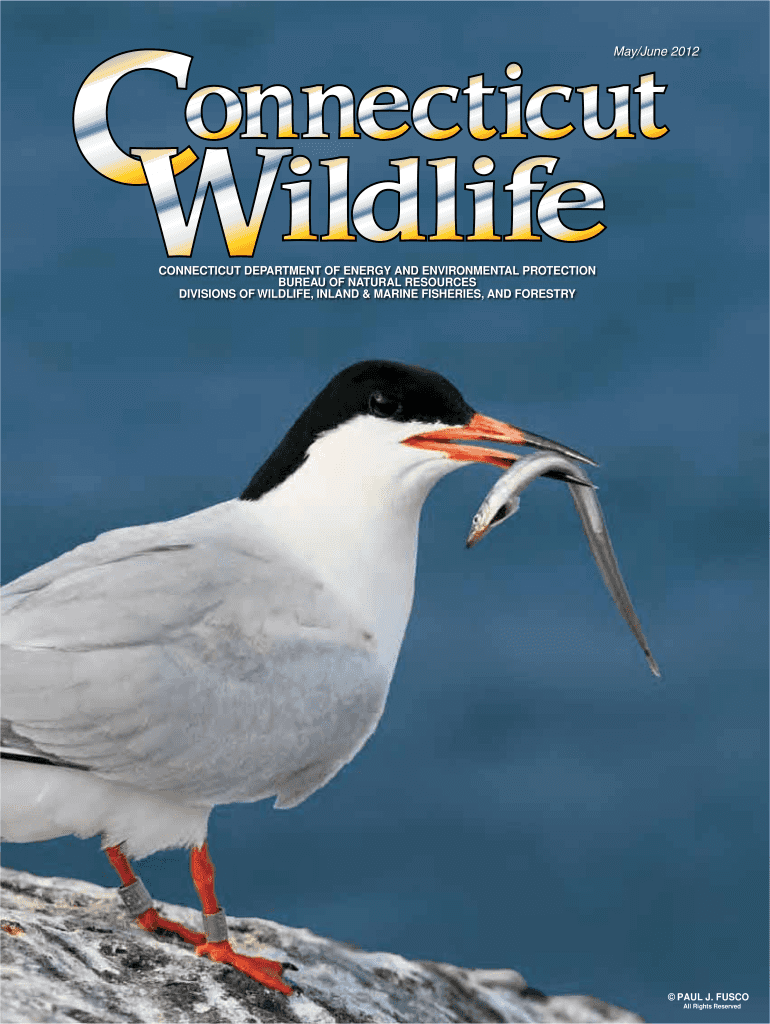 Connecticut Wildlife May June 2012 Wildlife in Connecticut Preview on Page 1