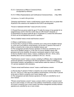 US Federal Commercial Items Offeror Instructions