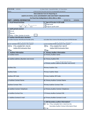 US Federal Audit Reporting Form SF-SAC
