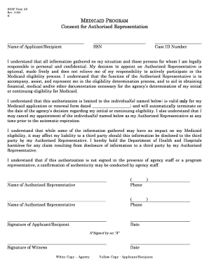 Medicaid Authorized Representation Consent Form