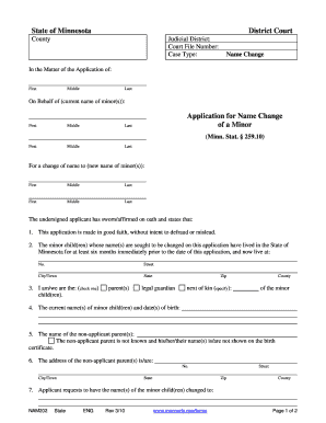 Minnesota Minor Name Change Application