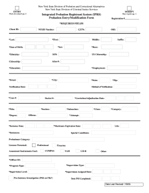 New York Probation Entry/Modification Form