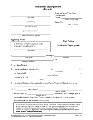 Form preview picture