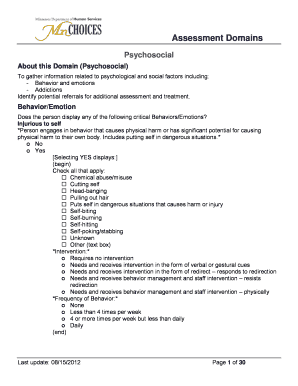 Psychosocial Assessment Form