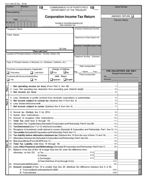 Puerto Rico Corporation Income Tax Return Form 480.20