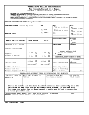 Form preview picture