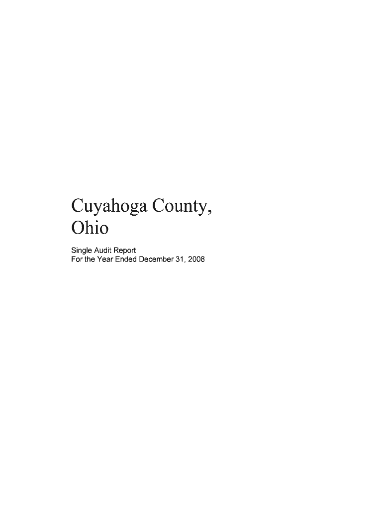 Financial Audit 2008 - Cuyahoga County Auditor Preview on Page 1