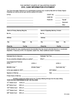 Galveston County Civil Case Information Statement