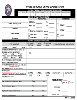 Travel Authorization and Expense Report