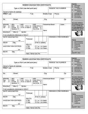 Form preview picture