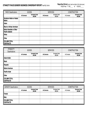 Ethnicity Race Gender Business Ownership Report