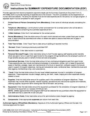 Illinois Summary Expenditure Documentation Form