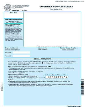 qss 4e form