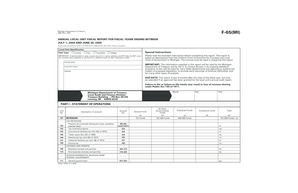 Michigan Annual Local Unit Fiscal Report